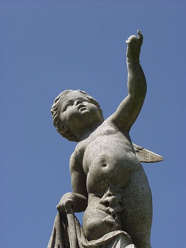 devil cherub