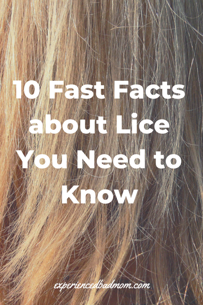 10 Fast Facts About Lice You Need To Know 8479